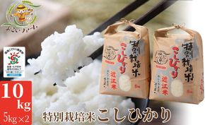 【C-546】【令和7年産　新米】よこいファーム 特別栽培米コシヒカリＡ　10kg（5kg×2） ［高島屋選定品］