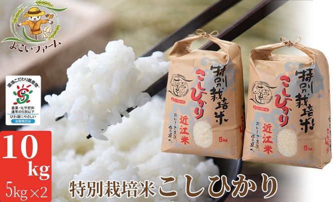 yꌧszyC-546zyߘa7NY@Vāz悱t@[ ʍ͔|ăRVqJ`@10kgi5kg×2j mIin