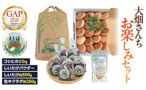 【 ファーム大畑 】お楽しみセット 米 お米 しいたけパウダー しいたけ 椎茸 まろ福しいたけ きくらげ [AK001ci]