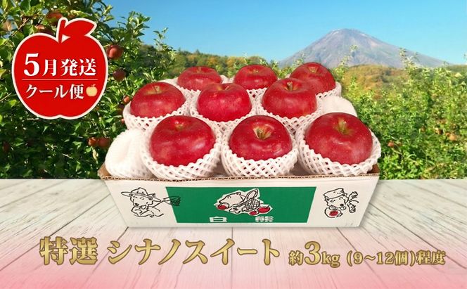 【5月発送クール便】白熊 贈答用シナノスイート約3kg スマートフレッシュ 糖度13度【青森りんご 果物 フルーツ 果物類 デザート 食後 おやつ 青森のりんご 】