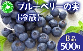 北海道 伊達市産 ブルーベリーの実 訳あり (B品／冷蔵) 500g｜国産 果物 フルーツ ジャム パイ お菓子作り【kzh-023】