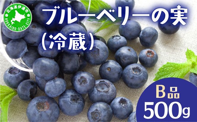 北海道 伊達市産 ブルーベリーの実 訳あり (B品／冷蔵) 500g｜国産 果物 フルーツ ジャム パイ お菓子作り【kzh-023】