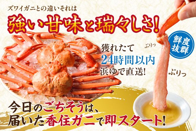 【訳あり 香住ガニ 釜茹で ボイル 大きめ 約600g×3匹（約1.8kg以上）冷蔵】大人気 人気 おすすめ 注意書きの確認を必ずお願いします 国産 カニの本場 香住 兵庫県 香美町 1～2本足折れ ベニズワイガニ かに カニ 蟹 日本海フーズ 07-14 ☆