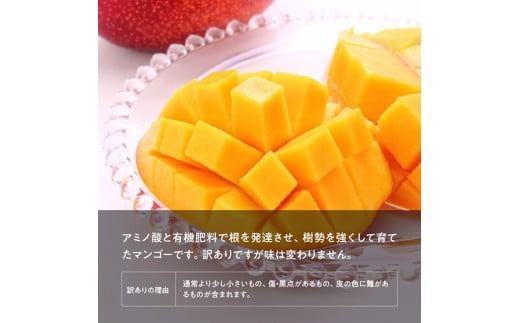 y{茧쒬zyߘa8Nzy󂠂z{茧Yn}S[ipj@n}S[2 y ʕ t[c }S[ {茧Y ݂₴}S[ 󂠂 s\ ʌ Ԍ z[C03708]