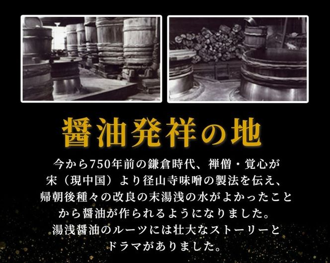 ZC6006n_和歌山県産 湯浅たまり 2.7kg (900ml×3本)