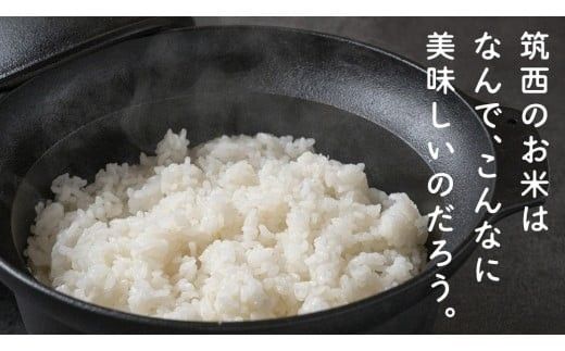 【 選べる お届け回数 】 コシヒカリ 精米 5kg ＆ にじのきらめき 精米 5kg  令和7年産 米 お米 コメ 白米 茨城県 新生活 応援 定期便 [EX009ci00]
