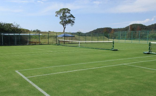 【関西唯一】天然芝テニスコート（1時間）利用券＋テニスボールプレゼント チケット 入場券 優待券