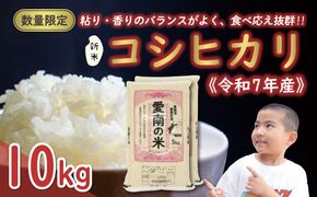 先行予約 新米 令和7年産 コシヒカリ 10kg 25000円 お米 白米 精米 米 こめ 産地直送 国産 農家直送 期間限定 数量限定 特産品 先行 事前 受付 令和7年度産 2025年産 もっちり 粘り 甘み おいしい おにぎり こしひかり 内祝い お祝い 贈答品 お返し プレゼント ギフト 土産 御礼 お礼 お取り寄せ えひめ南農業協同組合 愛南町 愛媛県