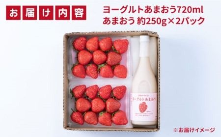 【2024年2月上旬より順次発送】【春】ヨーグルトあまおう720ml ×あまおう 約250g×2パック 糸島市 / 南国フルーツ株式会社 [AIK015]