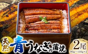 熊本県 八代市産 天然青うなぎの蒲焼 蒲焼セット 2尾（90g～110g×2） 自家製うなぎのタレ 鰻 ウナギ うなぎの蒲焼 丑の日 国産 うな丼 うな重