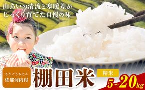 【先行予約】清流と寒暖差が生む村自慢の「棚田米」 5kg 10kg 20kg《2026年11月以降順次出荷》徳島県 佐那河内村 棚田米 米 白米 ---sanagouchi_lcl_136_5kg---