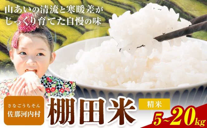 【先行予約】清流と寒暖差が生む村自慢の「棚田米」 5kg 10kg 20kg《2026年11月以降順次出荷》徳島県 佐那河内村 棚田米 米 白米 ---sanagouchi_lcl_136_5kg---