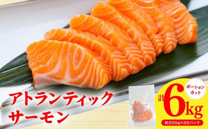 G3804 アトランティックサーモン 6kg【小分け 200g×30P 柵切り 刺身 魚介 海鮮 さーもん 生食 お試し】