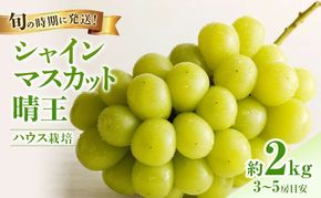 【2026年先行受付】 シャインマスカット 晴王 ハウス栽培 約2kg(3～5房目安) 岡山県産 ぶどう 葡萄 ブドウ 御中元 ギフト 御礼 プレゼント 御礼 御祝 御供 果物 くだもの フルーツ
