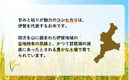 令和8年産 無洗米 伊賀米コシヒカリ 10kg（5kg×2）【jaig0005A】