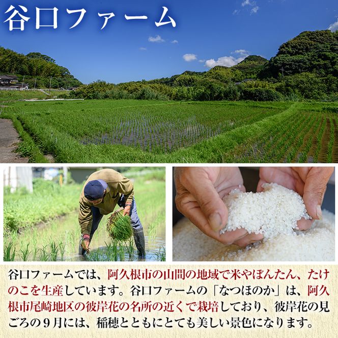 鹿児島県産のお米 なつほのか(計5kg) 国産 白米 自社精米 ご飯 おこめ おにぎり お弁当 【谷口ファーム】 akn064-13