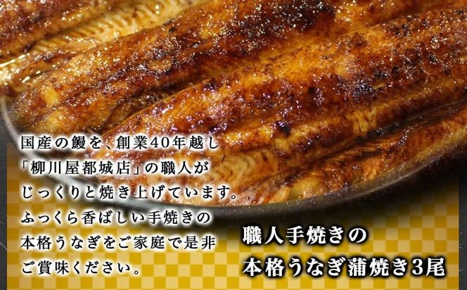 職人手焼きの本格うなぎ蒲焼き3尾_AC-3301