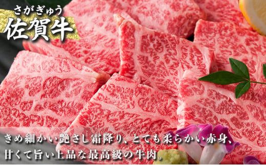 500g 佐賀牛｢カルビ焼肉用｣ D-336