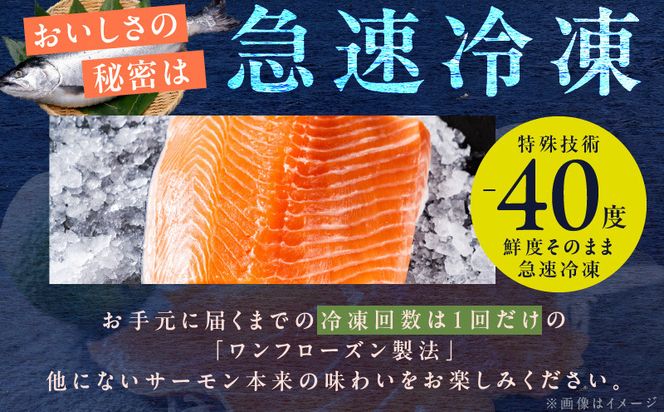 015B408 【サーモン食べ比べ】アトランティックサーモン 200g×2P