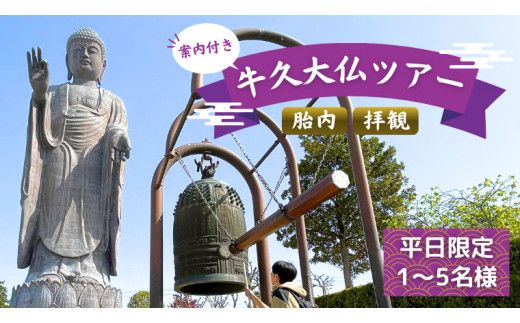 《 案内付き 》 牛久大仏 胎内 拝観 ツアー ※ 平日限定 ※ （ 5名様まで ） 貸切 体験 参加券 体験チケット 観光 [DR001us]