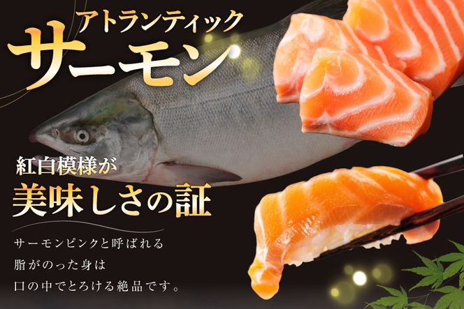 サーモン ノルウェー産 アトランティックサーモン 総重量 1kg (正味重量850g) [カネダイ 宮城県 気仙沼市 20565509] 魚 魚介類 サーモン 刺身 生食 生 アトランティック アトラン 小分け 冷凍 鮭 さけ 訳あり ノルウェー