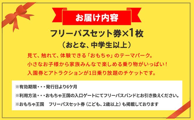 おもちゃ 王国 フリーパス セット 券 （おとな、中学生以上） 入場券 チケット  優待券 