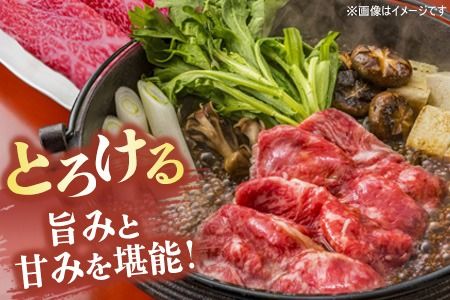 佐賀牛 サーロインステーキ200g×2枚計400g すきやき用切落250g×2パック計500g【佐賀牛 サーロイン ステーキ すきやき 切落し 高級部位 赤身肉 霜降り 小分け】(H122125)