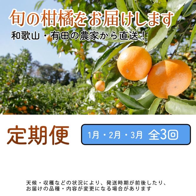 【定期便】家庭用 柑橘定期便 S 3回（1～3月）※北海道・沖縄・離島への配送不可※1月・2月・3月に発送