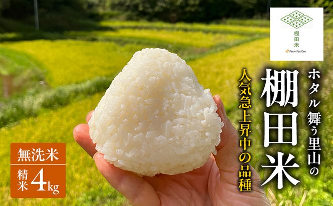 先行受付 ホタル舞う里山の棚田米 無洗米 精米4kg 令和8年産 にじのきらめき2kg×2袋