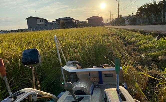 天日干有機米こしひかり「天地の誉」玄米5kg×2個 お米 コシヒカリ 石川県産 