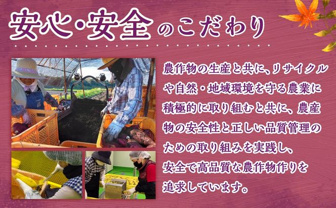 ＜宮崎県産ほしいも（紅はるか）750g（150g×5袋）＞翌月末迄に順次出荷 【c1492_yd】 干し芋 ほし芋 干しいも 芋 いも お芋 サツマイモ さつまいも さつま芋 紅はるか お菓子 菓子 和菓子 宮崎県 高鍋町