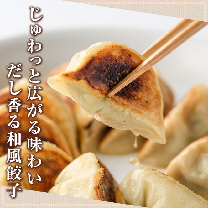 ＼テレビで紹介されました！／お出汁滲み出る和餃子(計48個・12個入り×4袋) 餃子 生餃子 ギョウザ ぎょうざ ギョーザ セット 詰め合わせ おかず お惣菜 冷凍 和風 水餃子【餃子のはま田】akn096-01