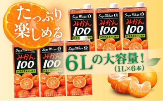 みかん100 1L×6本