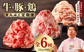 mrzZ032 国産 牛肉＆豚肉＆鶏肉 まんぷく 定期便 5kg×6回【氷温熟成×極味付け 3種 食べ比べ 普段使い 味付き 小分け 訳あり サイズ不揃い 】