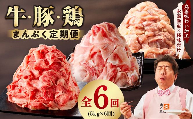 mrzZ032 国産 牛肉＆豚肉＆鶏肉 まんぷく 定期便 5kg×6回【氷温熟成×極味付け 3種 食べ比べ 普段使い 味付き 小分け 訳あり サイズ不揃い 】