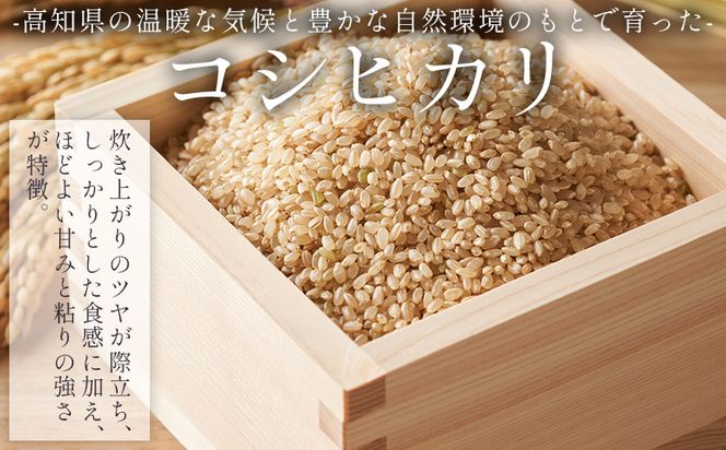 【7日程度で発送】特別栽培米 コシヒカリ 玄米 30kg - 国産 米 お米 おこめ こしひかり 玄米 ごはん おにぎり おむすび ご飯 最短配送 スピード発送 早い 早く届く 農業公社 高知県 香南市 常温 nu-0009