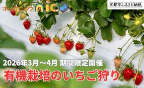 【オーガニックnico】有機栽培のいちご狩り1名分(2026年3月～4月開催)｜京都 大原野 いちご 食べ放題 人気 おすすめ [ 有機いちご 40分いちご狩り＋お土産付き 幼児は無料 人気 おすすめ 果物 フルーツ フルーツ狩り ふるさと納税 ] 261009_B-SR04