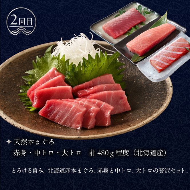 はこだて 海の幸 定期便 10万円 北海道産 プレミアム 全4回 海の恵 食通 うなる 海のごちそう セレクト 函館名物 いかそーめん いかそうめん いか刺し 戸井産 本マグロ 赤身 中トロ 大トロ 函館サーモン いくら 醤油漬け 月替り お取り寄せ 北海道 函館市 送料無料_HS001-008