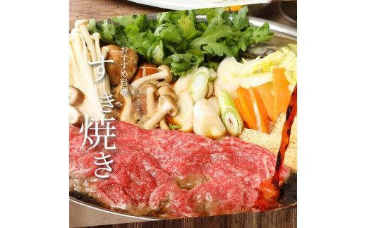 ＜宮崎牛和牛モモ肉すき焼き用500g＞ K01_0010_1