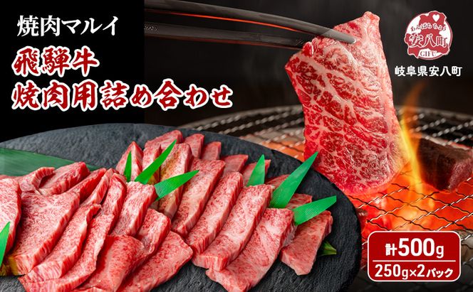飛騨牛 焼肉用 約500g（約250g×2パック） A4～A5等級使用 焼肉 肉 牛 牛肉 お肉 国産 和牛 国産牛 BBQ お取り寄せ 冷蔵 送料無料 焼肉マルイ 岐阜県 安八町