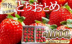 【贈答用・数量限定】とちおとめ　いちご　約1kg（約500g×2パック）1パック　15粒または20粒 232238_DU003