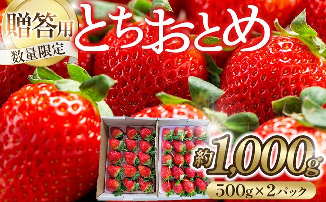 【贈答用・数量限定】とちおとめ　いちご　約1kg（約500g×2パック）1パック　15粒または20粒 232238_DU003