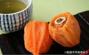 あんぽ柿 蜂屋柿 トレー 230g×8パック | 柿 果物 フルーツ 福島県 ※2026年12月～発送