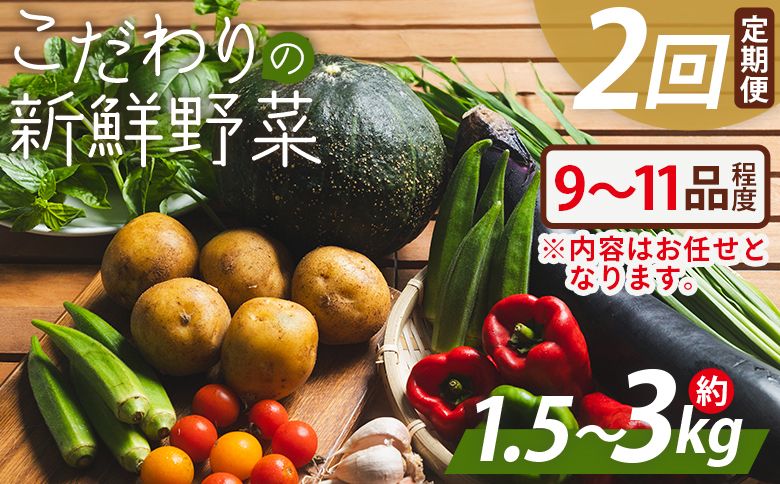 野菜 定期便 こだわりの新鮮野菜 2回定期 Waf-0002