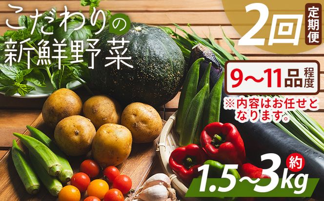 こだわりの新鮮野菜 ２回定期 Waf-0002