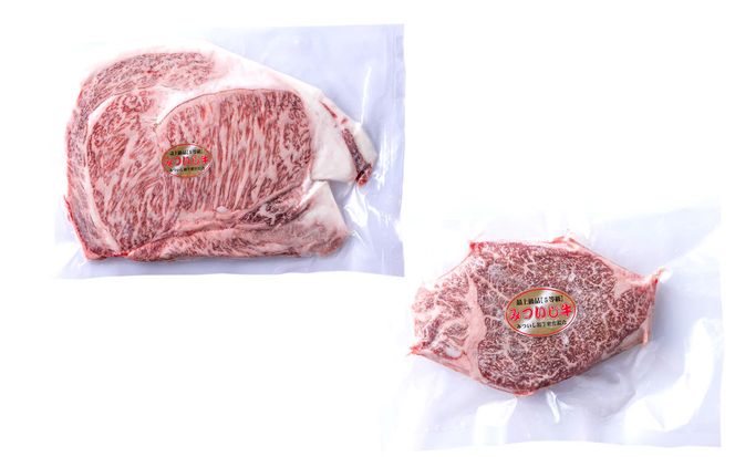 北海道産 黒毛和牛 みついし牛 A5  サーロイン＆ヒレステーキ 約400g 2枚 (各1枚) フィレ ヘレ 