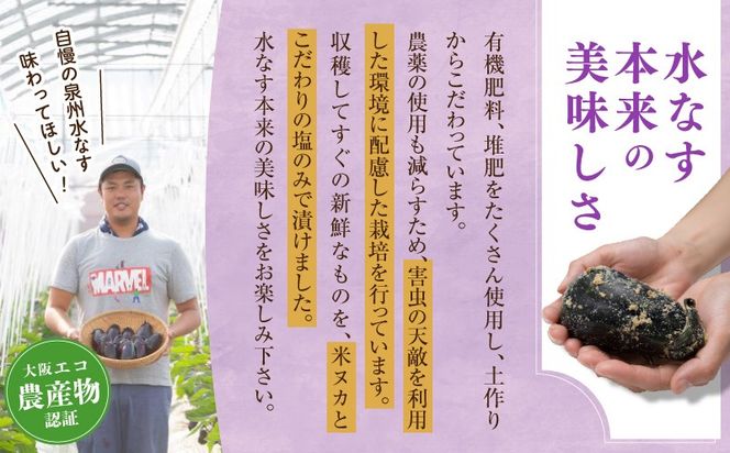 005A058 特選 無添加 水なす漬け 徳用水ナス セット【食べ比べ 新鮮 野菜 泉佐野産 茄子 やさい TONOファーム 高評価 数量限定】