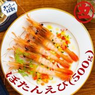18-88 ぼたんえび500g