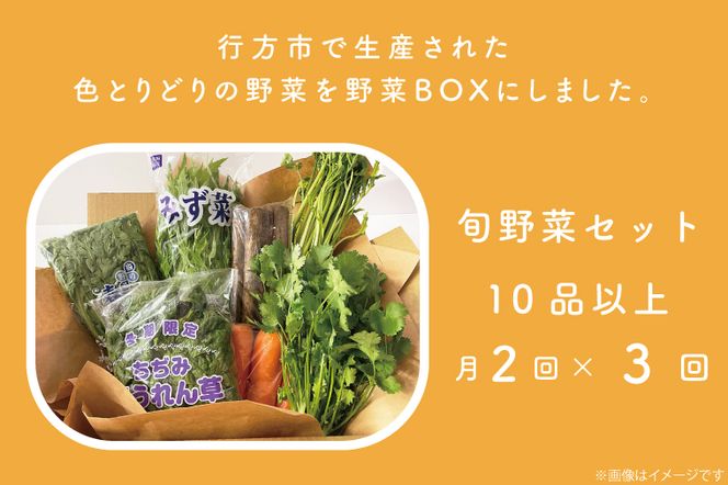 CU-140　【3ヶ月定期便】野菜王国なめがたの野菜もりもり定期便（月２回発送）