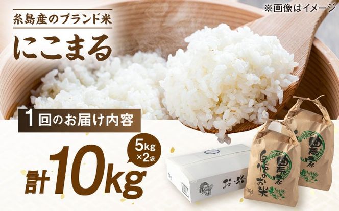 【全12回定期便】 にこまる 玄米品質1等米 白米 10kg 糸島市産 糸島市 / 糸島の恵み コメ こめ ご飯[AGR013]